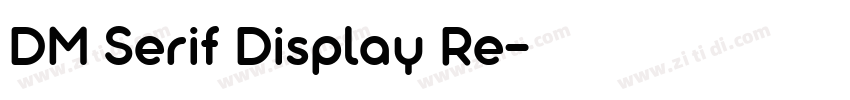 DM Serif Display Re字体转换